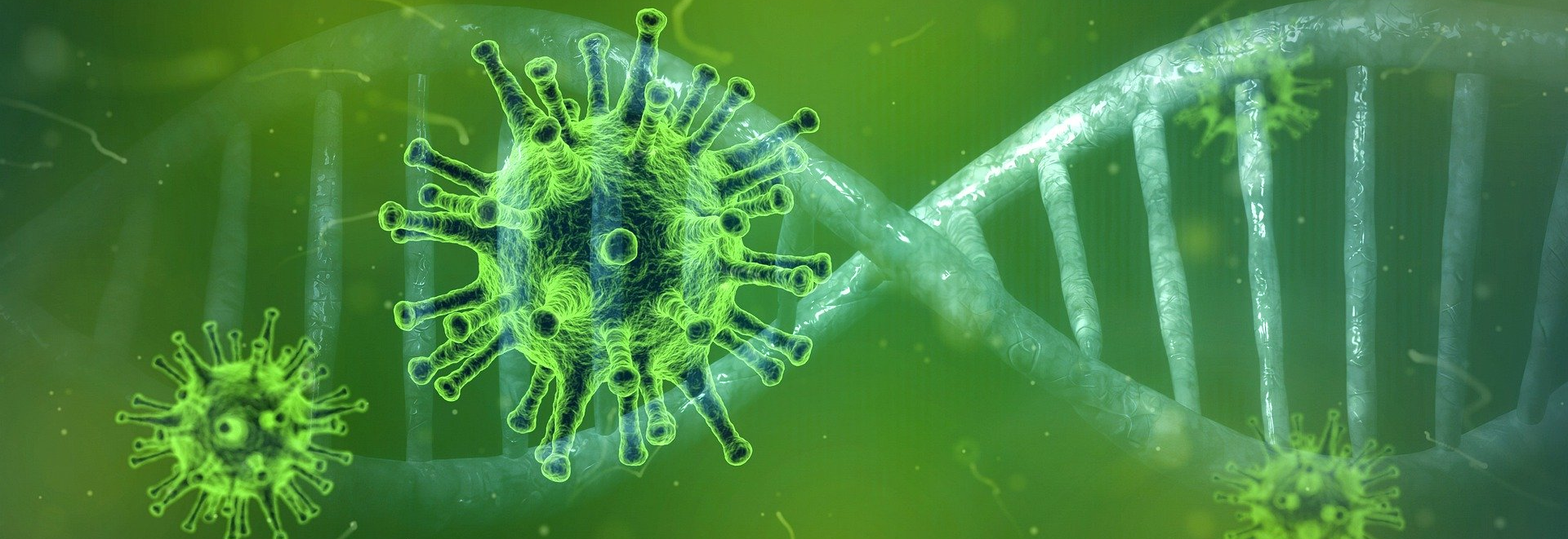 Banner coronavirus